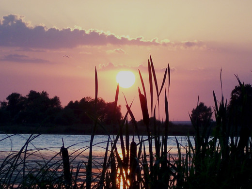 532169 (a): :2576x1932